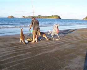 Cape Hillsborough National Park - C Tourism 0