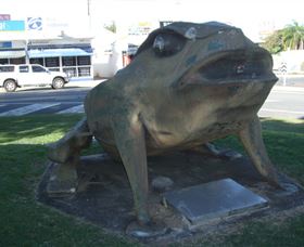 Big Cane Toad - C Tourism 0