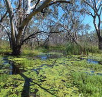 Macquarie Valley Trails - C Tourism