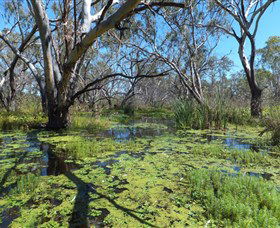 Macquarie Valley Trails - C Tourism 0