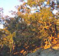 Mount Alexander Regional Park - C Tourism