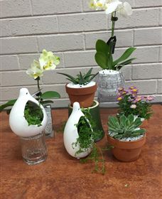 Cobram Florist - C Tourism 0
