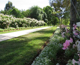 Barooga Botanical Gardens - C Tourism 0