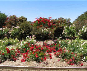 Barooga Botanical Gardens - C Tourism 2