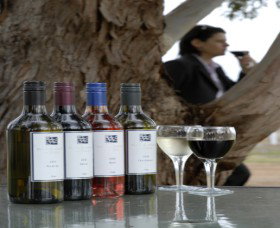 Woolaway Wines - C Tourism 0