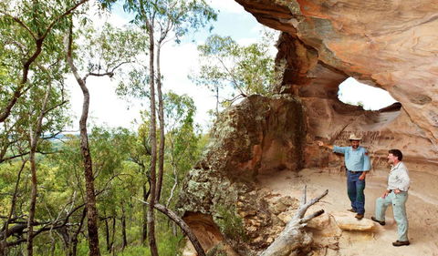 Pilliga National Park - C Tourism 0