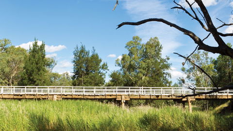 Pilliga National Park - C Tourism 3
