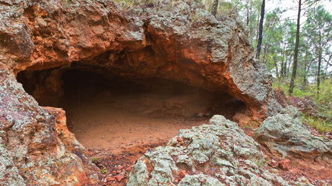 Pilliga National Park - C Tourism 1