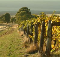 Captains Creek Organic Wines - C Tourism