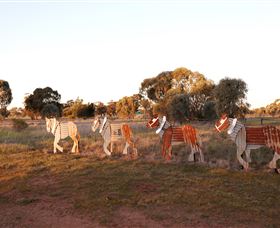 Pastoral Shadows Of Brookong - C Tourism 2