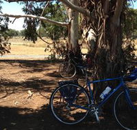 Murchison Rail Trail - C Tourism
