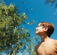 Bushwalking on Keswick Island - C Tourism