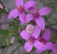 Self Drive Geology and Nature Trails - C Tourism