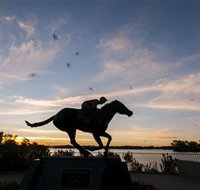 Black Caviar Statue - C Tourism