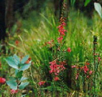 Enfield State Park - C Tourism