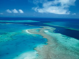 Fairey Reef - C Tourism 2