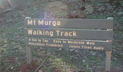 Mount Murga Walking Track - C Tourism 1