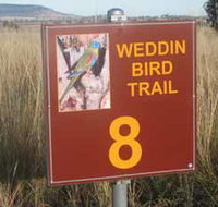 Weddin Bird Trails - C Tourism