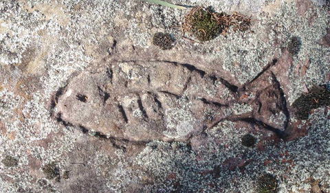Terry Hie Hie Aboriginal Area - C Tourism 3