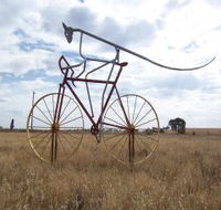 Animals on Bikes - C Tourism