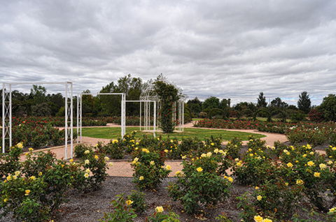 Australian Inland Botanic Gardens - C Tourism 0