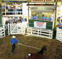 Gracemere Exhibition Complex - C Tourism
