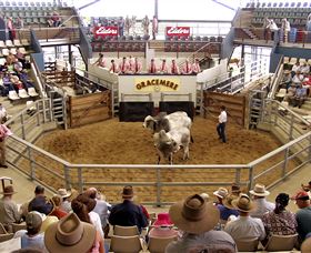 Gracemere Exhibition Complex - C Tourism 1