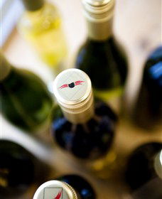 Charles Sturt University Winery Wagga Wagga - C Tourism 2