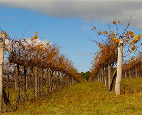 Charles Sturt University Winery Wagga Wagga - C Tourism 3