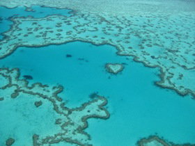 Heart Reef - C Tourism 0