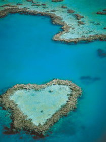 Heart Reef - C Tourism 3