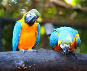 The Rockhampton Zoo - C Tourism 2