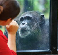 The Rockhampton Zoo - C Tourism