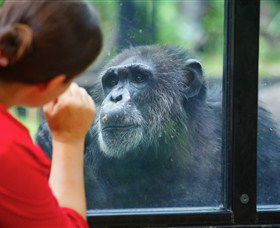 The Rockhampton Zoo - C Tourism 0