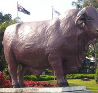 Rockhampton Bull Statues - C Tourism