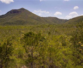 Kutini-Payamu (Iron Range) National Park (CYPAL) - C Tourism 0