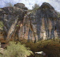 Borenore Karst Conservation Reserve - C Tourism