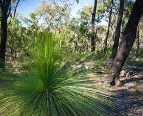 Staughton Vale VIC C Tourism