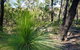 Brisbane Ranges National Park - thumb 0