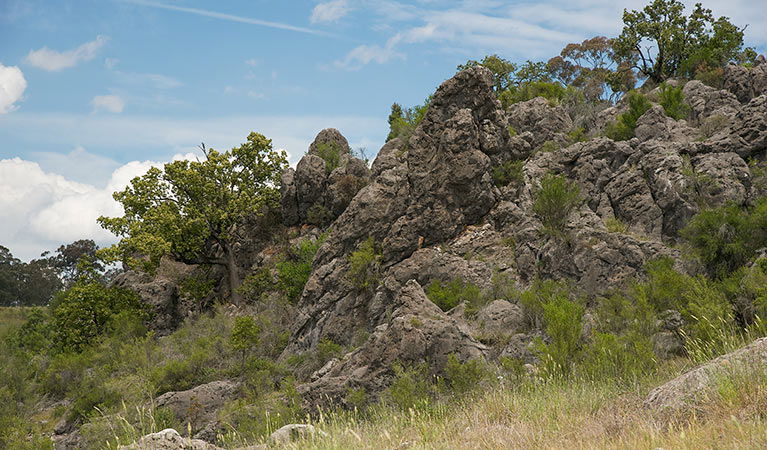 Lidster NSW C Tourism