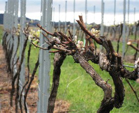 Stockmans Ridge Wines - C Tourism 1