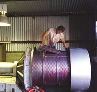 Orange Mountain Wines - C Tourism