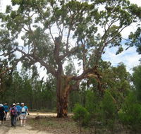 Koorilgur Nature Reserve - C Tourism