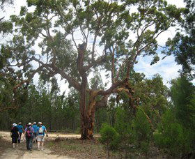 Koorilgur Nature Reserve - C Tourism 0