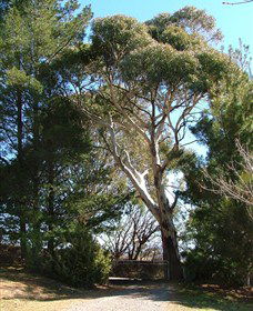 Habitat Vineyard - C Tourism 1