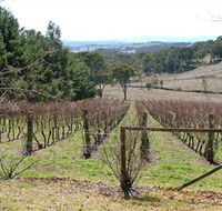 Habitat Vineyard - C Tourism