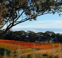 Bloodwood Estate - C Tourism