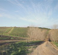 Austins  Co. - C Tourism