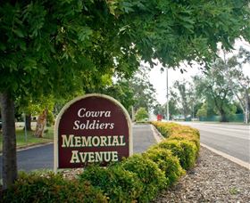 Memorial Avenue In Cowra - C Tourism 0