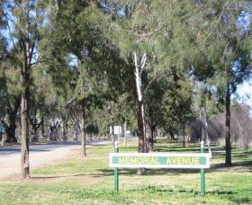 Memorial Avenue In Cowra - C Tourism 1